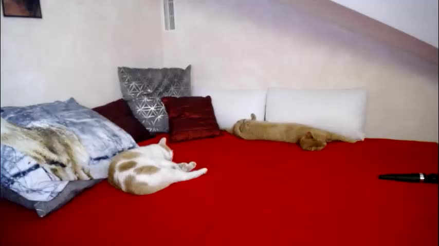 kathylovexxx Приват Записи 2026-01-26