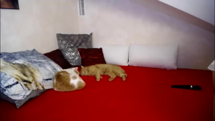 kathylovexxx Приват Записи 2026-01-26