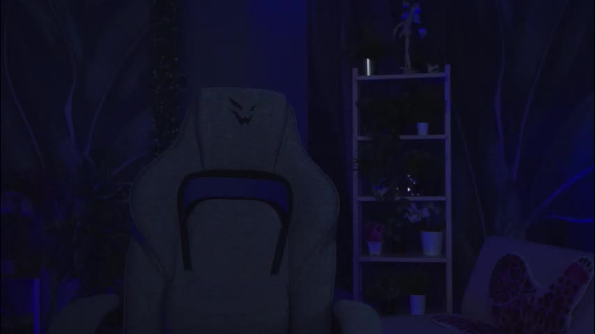 asheluck Приват Записи 2026-01-26