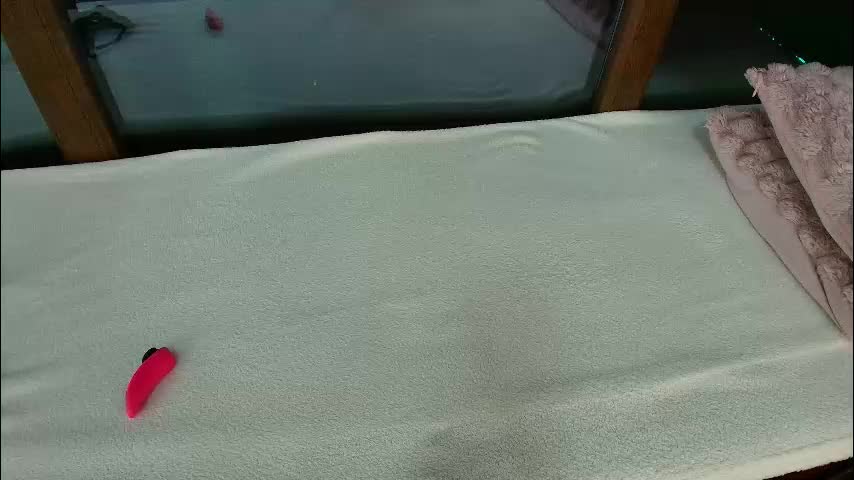 _parishill Приват Записи 2026-01-27