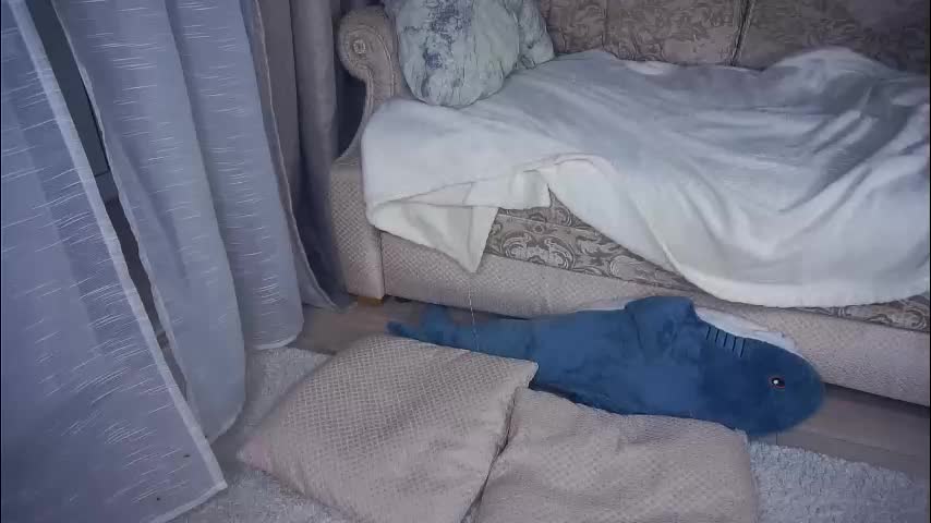 meghanantell Приват Записи 2026-01-27