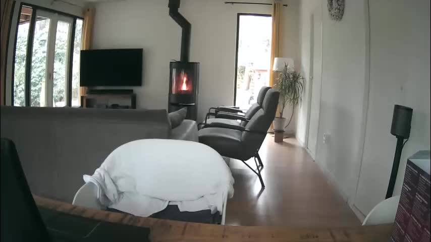 woodwurm Приват Записи 2026-01-28