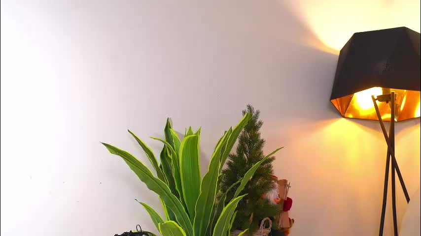 katymolly Приват Записи 2026-01-28