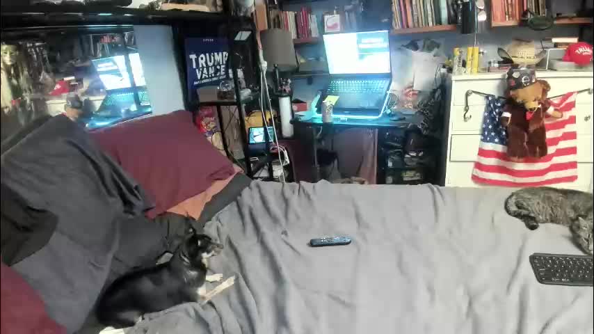 pink_black Приват Записи 2026-01-27