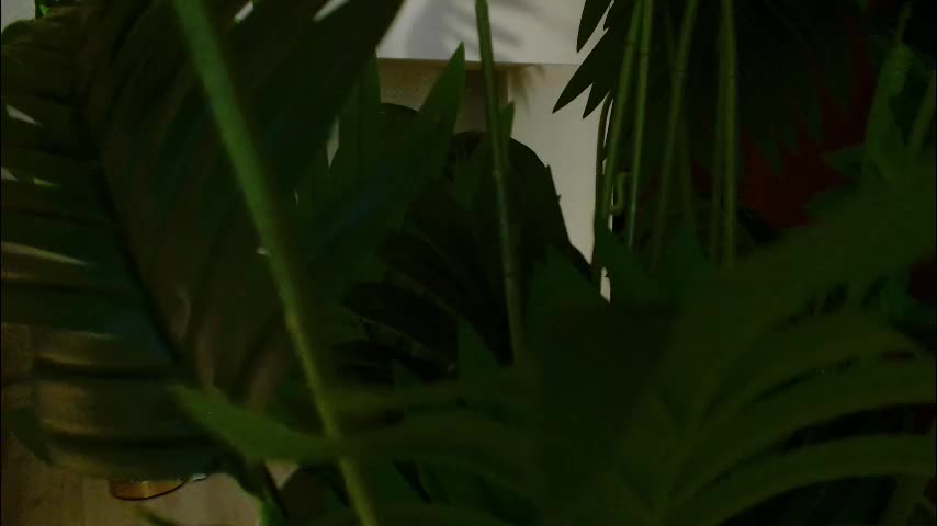 imcarrieberry Приват Записи 2026-01-28