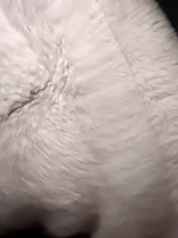 NEW_SWEET Приват Записи 2026-01-28