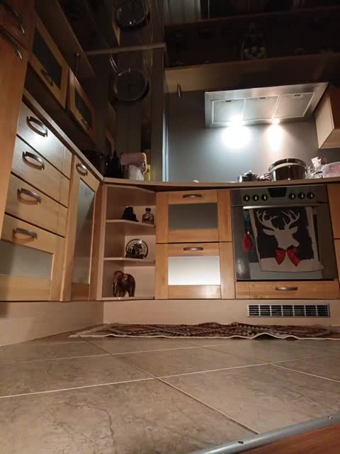 Annanas Приват Записи 2026-01-29