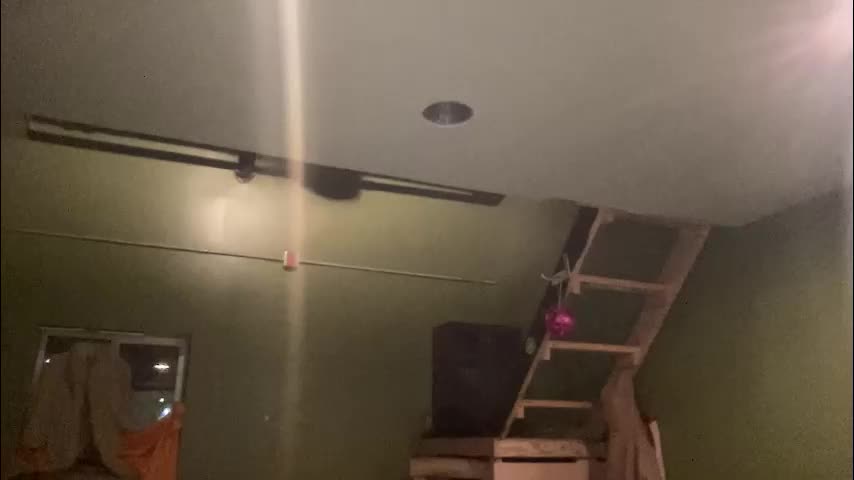 arielwyld Приват Записи 2026-01-29