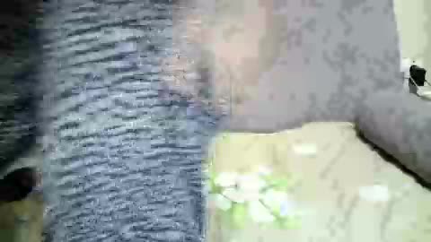 Arsinoe Приват Записи 2026-01-29