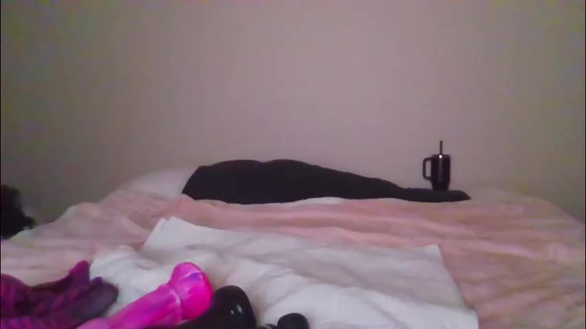 sdbeachfreaks Приват Записи 2026-01-29