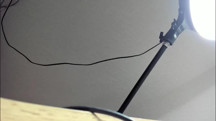 molly_555 Приват Записи 2026-01-29