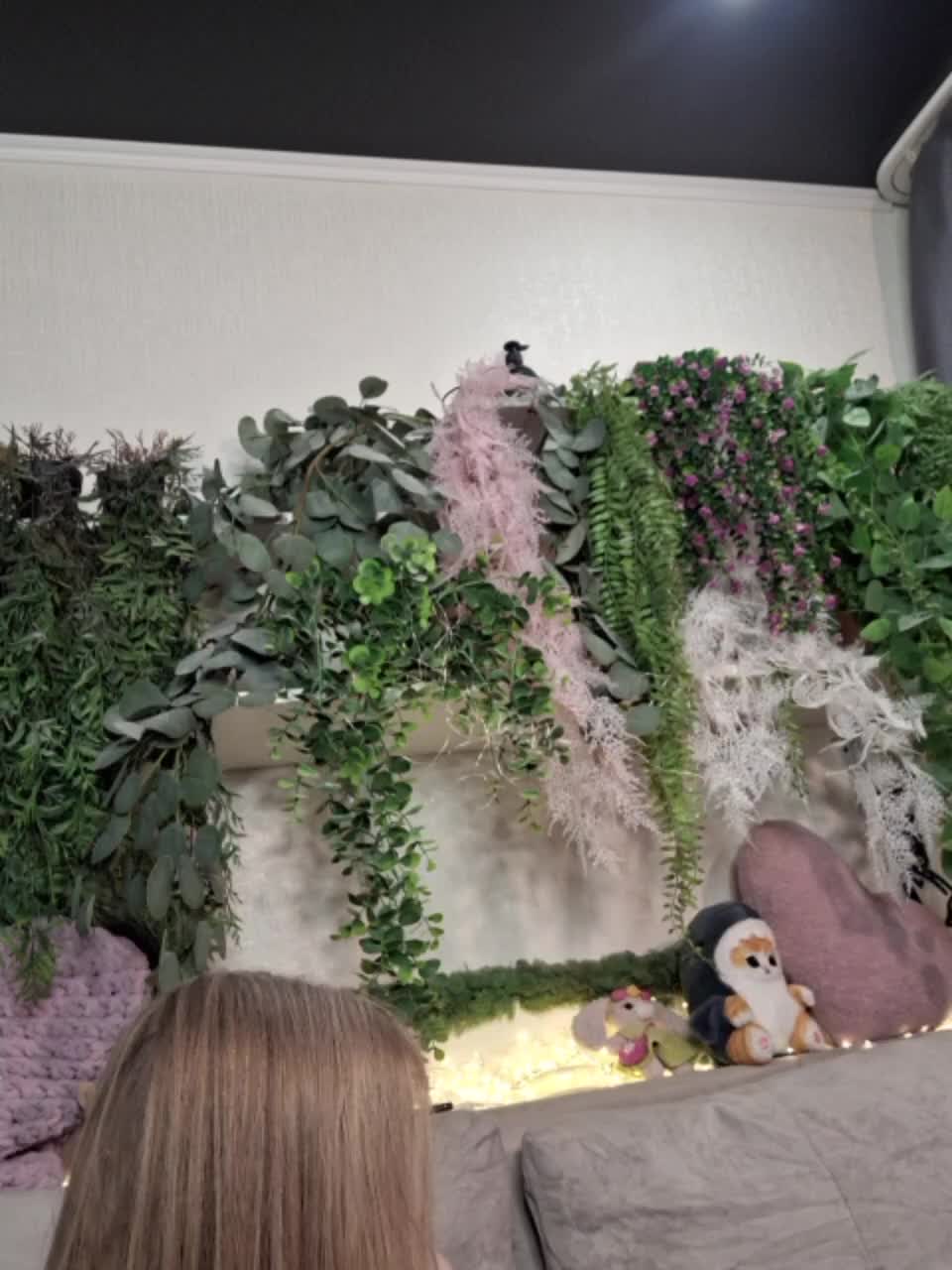 -scyrim- Приват Записи 2026-01-29