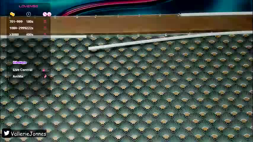 valleriejonnes Приват Записи 2026-01-29