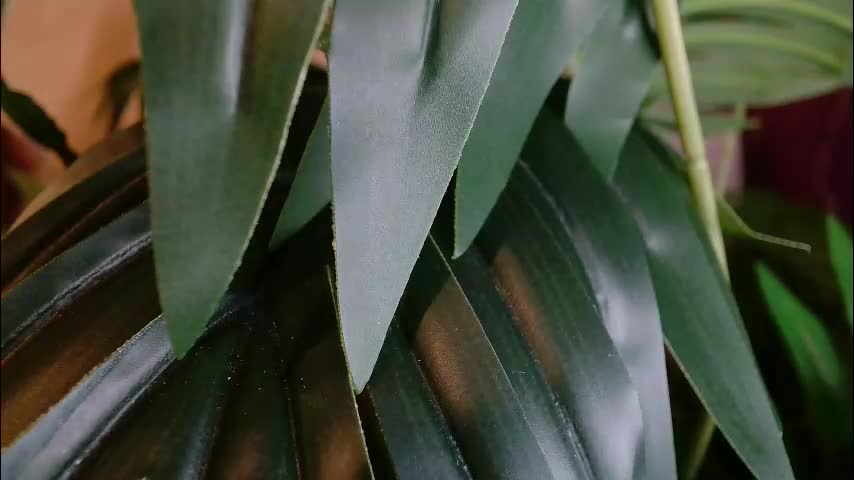 imcarrieberry Приват Записи 2026-01-30