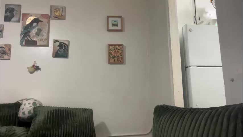 loserlexxx Приват Записи 2026-01-30