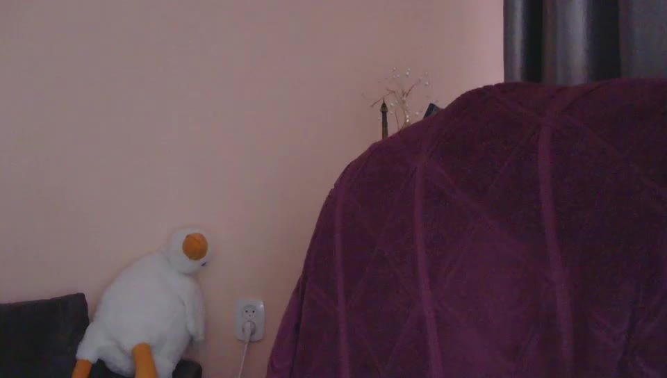 Ornotores_wers Приват Записи 2026-01-30