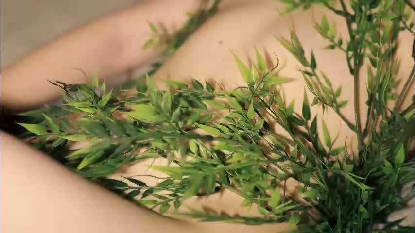 toshimori Приват Записи 2026-01-30