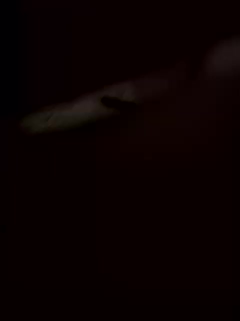 DygKiss Приват Записи 2026-01-31