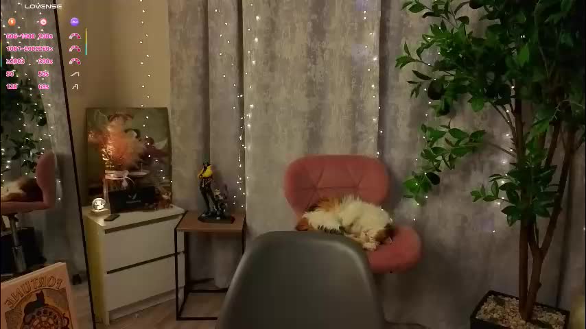 radaberesford Приват Записи 2026-01-31