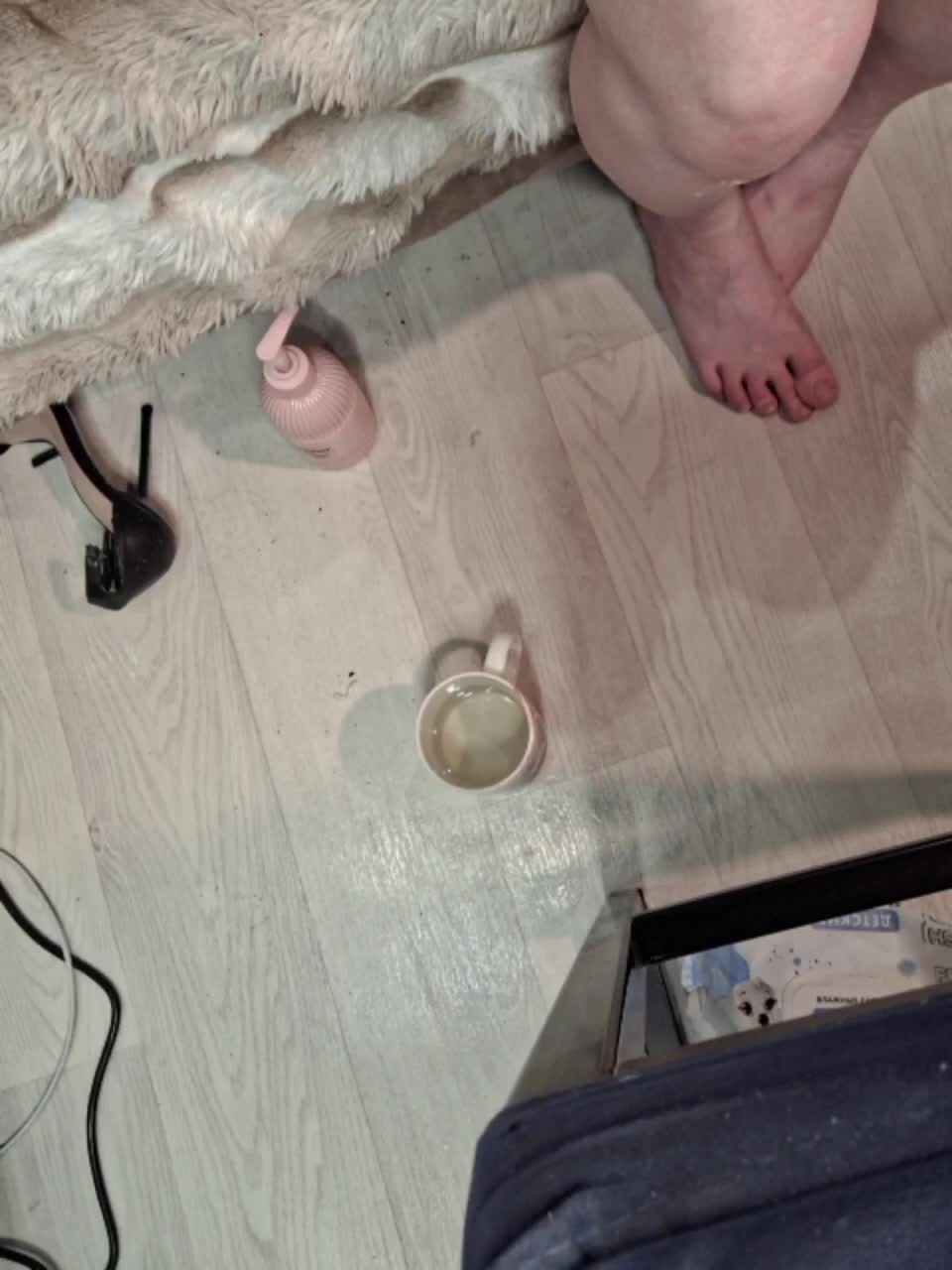 -scyrim- Приват Записи 2026-01-31