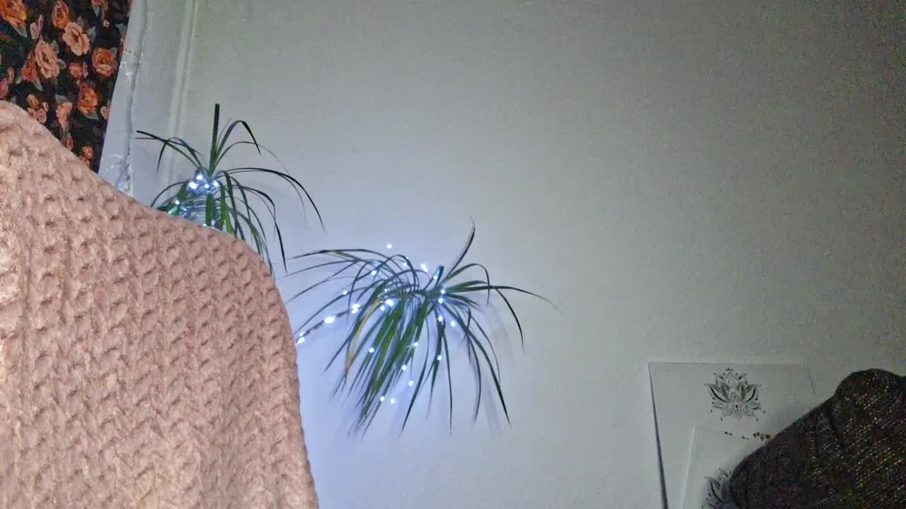 CyndeeWinter Приват Записи 2026-01-31