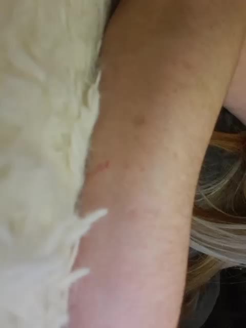 Kimylika Приват Записи 2026-01-31