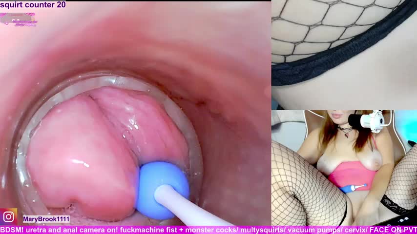 MaryBrook1 Приват Записи 2026-01-31