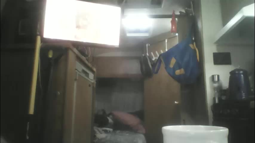 pink_black Приват Записи 2026-01-31