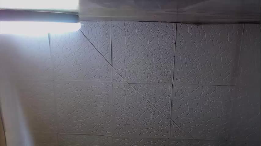 shyredstar Приват Записи 2026-01-31