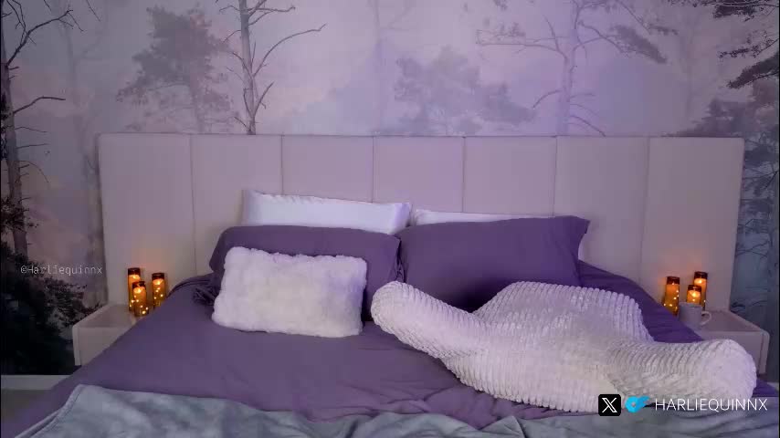 harliequinnx Приват Записи 2026-02-01