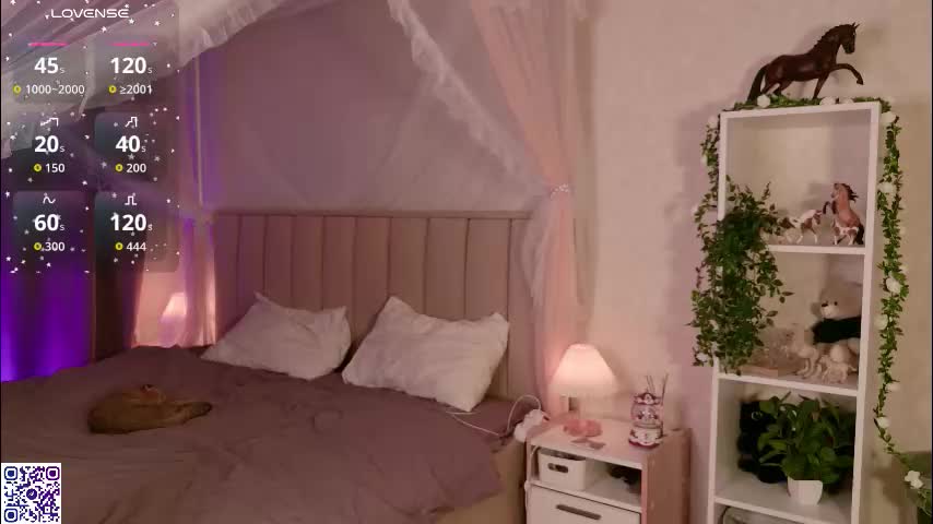 lerakit Приват Записи 2026-01-31