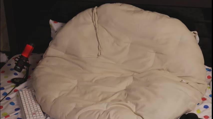 lissaho Приват Записи 2026-02-01