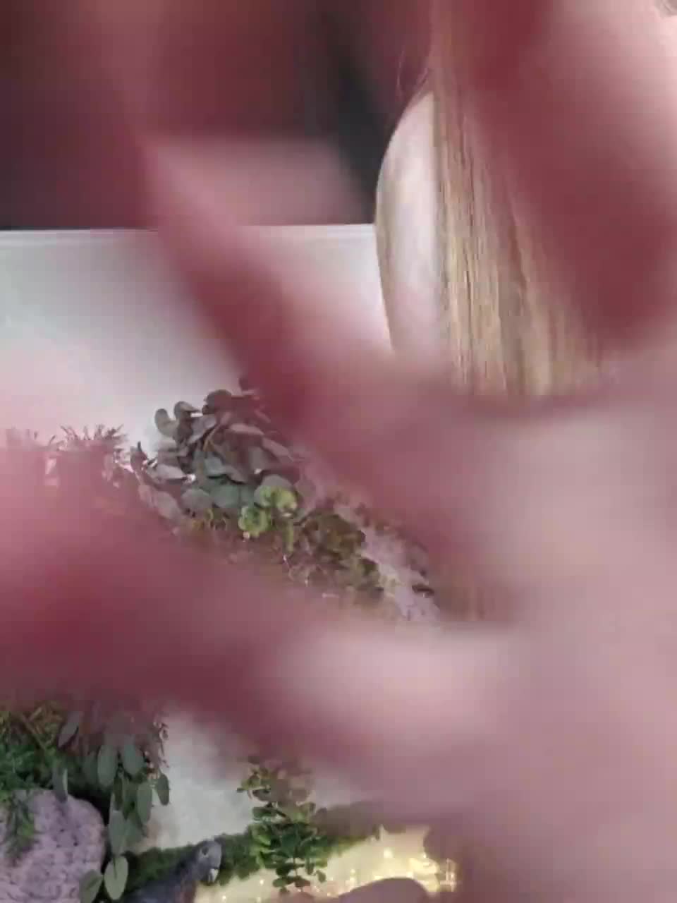 -scyrim- Приват Записи 2026-02-01