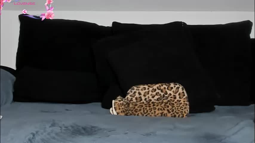 laurasommer Приват Записи 2026-02-01