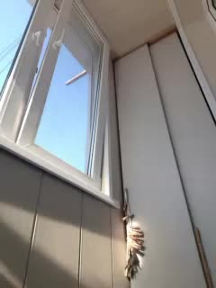 Zlykaa Приват Записи 2026-02-01