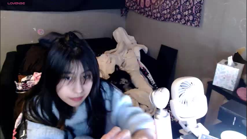 londonray Приват Записи 2026-02-01