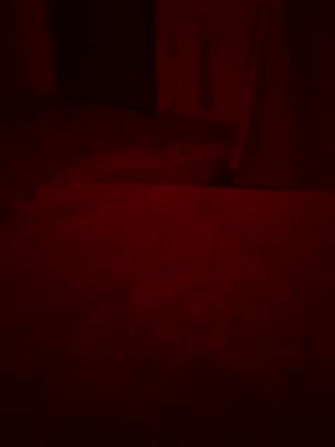 Skripach Приват Записи 2026-02-01