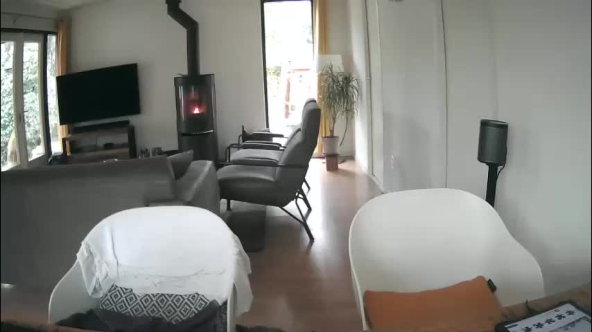 woodwurm Приват Записи 2026-02-01