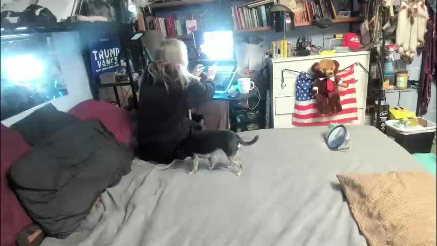 pink_black Приват Записи 2026-02-01