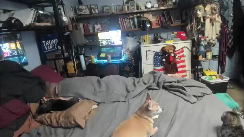 pink_black Приват Записи 2026-02-01