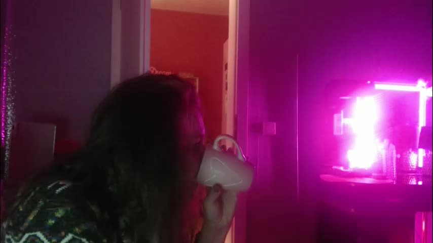 melli23 Приват Записи 2026-02-02