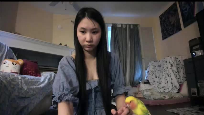 alizezaide Приват Записи 2026-02-02