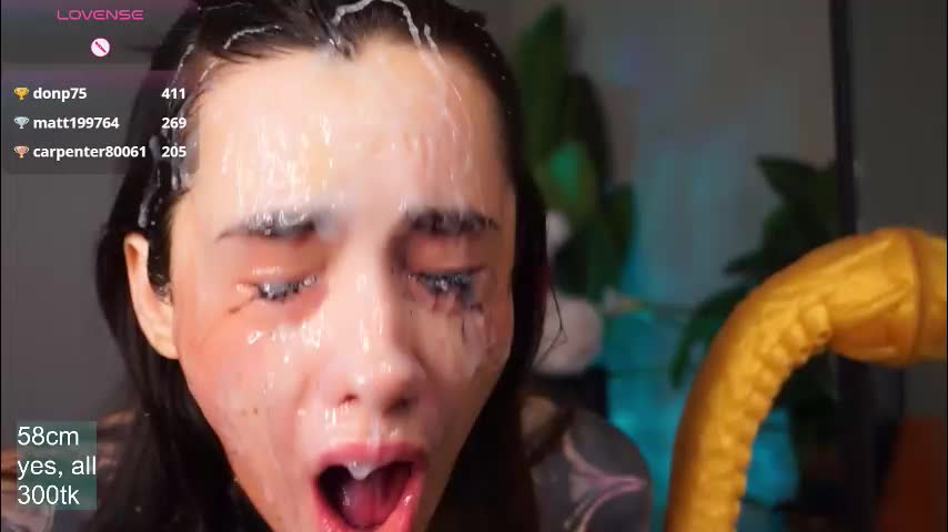 evarabbit Приват Записи 2026-02-02