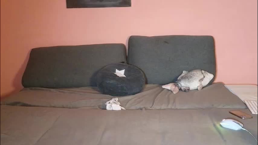 katusha008 Приват Записи 2026-02-02