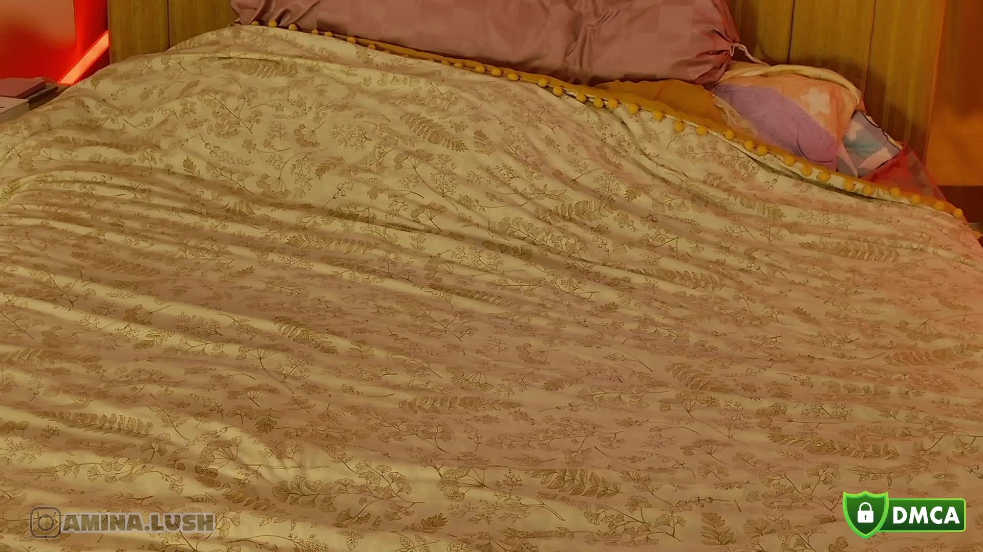 AminaLush Приват Записи 2026-02-03