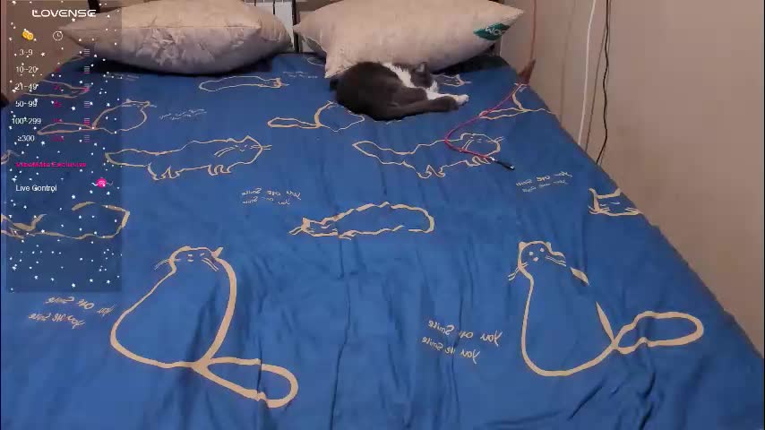 eva_zero Приват Записи 2026-02-03