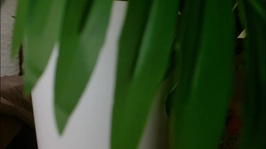 imcarrieberry Приват Записи 2026-02-03