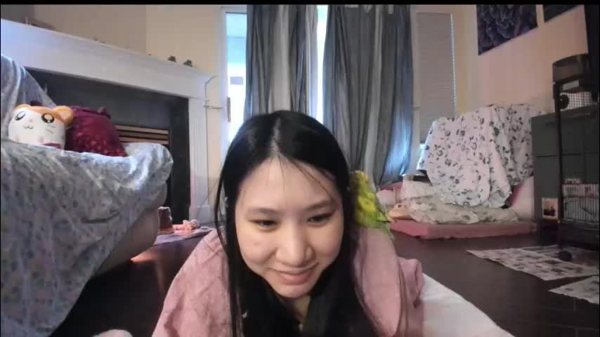 alizezaide Приват Записи 2026-02-03