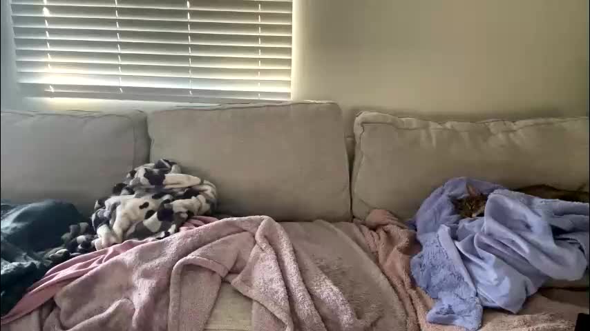 goddessmayvn Приват Записи 2026-02-03