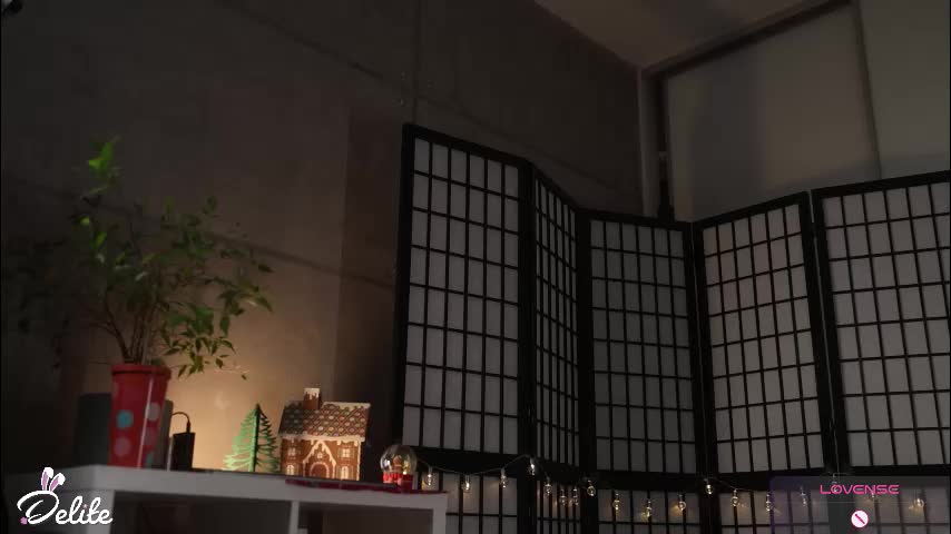 delitevip Приват Записи 2026-02-03